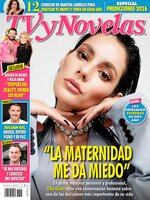 TV y Novelas México